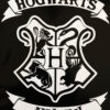 harry potter hogwarts alumni